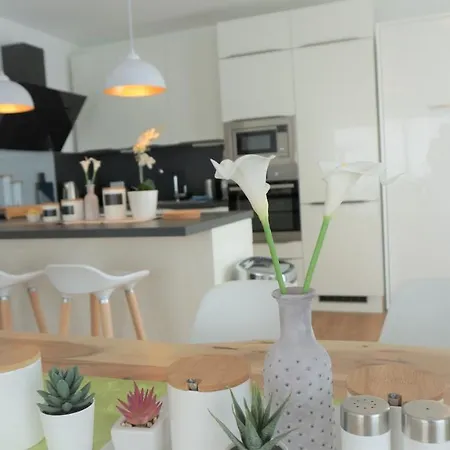 Panorama Penthouse Mit Klima Und Whirlpool Fuer Bis Zu 6 Personen 法兰肯塔尔