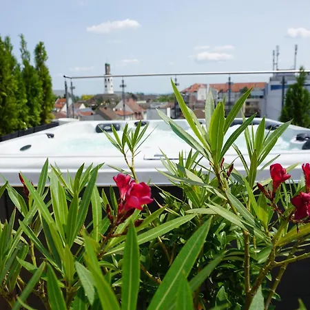 아파트 Panorama Penthouse Mit Klima Und Whirlpool Fuer Bis Zu 6 Personen 프랑켄탈