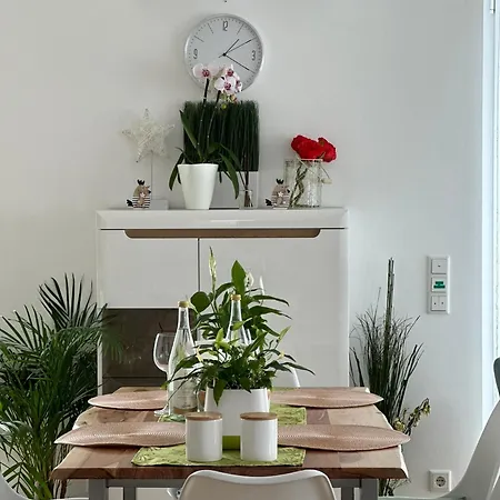 Panorama Penthouse Mit Klima Und Whirlpool Fuer Bis Zu 6 Personen 아파트 프랑켄탈